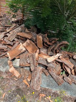 Free Douglas Fir bark!