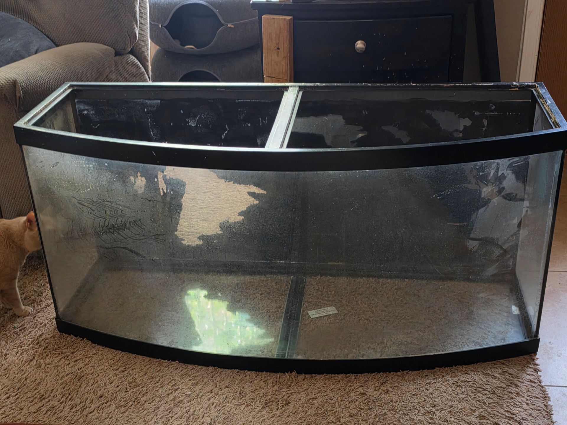 72 Gallon Bowfront Aquarium