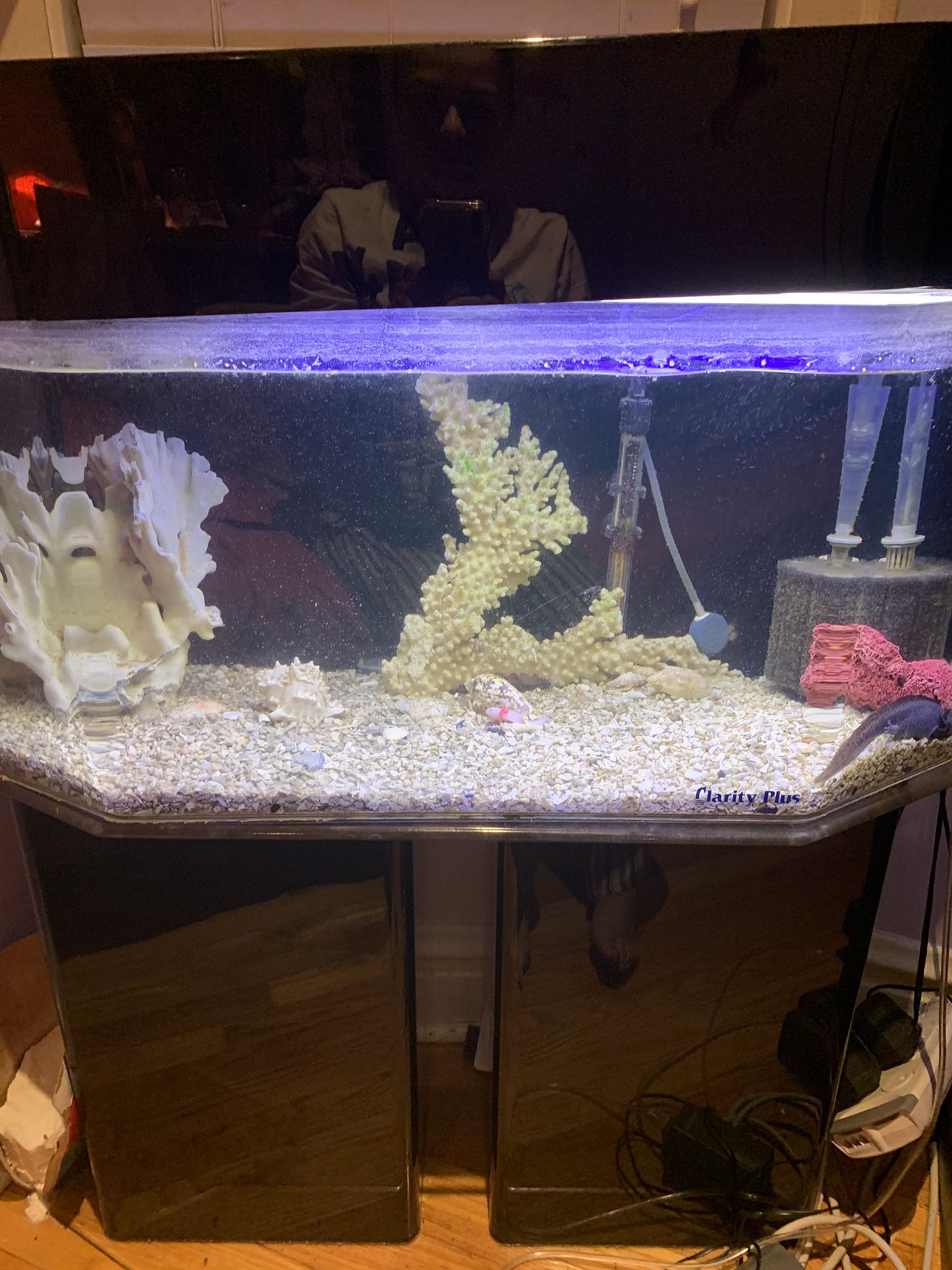 acrylic 50 aquarium tank
