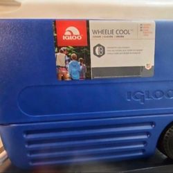 NEW IGLOO COOLER FOR SALE