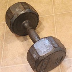 25 LB DUMBBELL WEIGHT