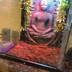 Reptile Enclosure