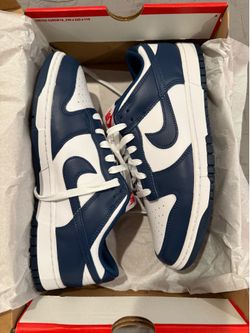 Nike Dunk Low Retro Valerian Blue size 9.5