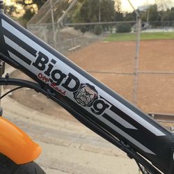 Electric Bike Big Dog