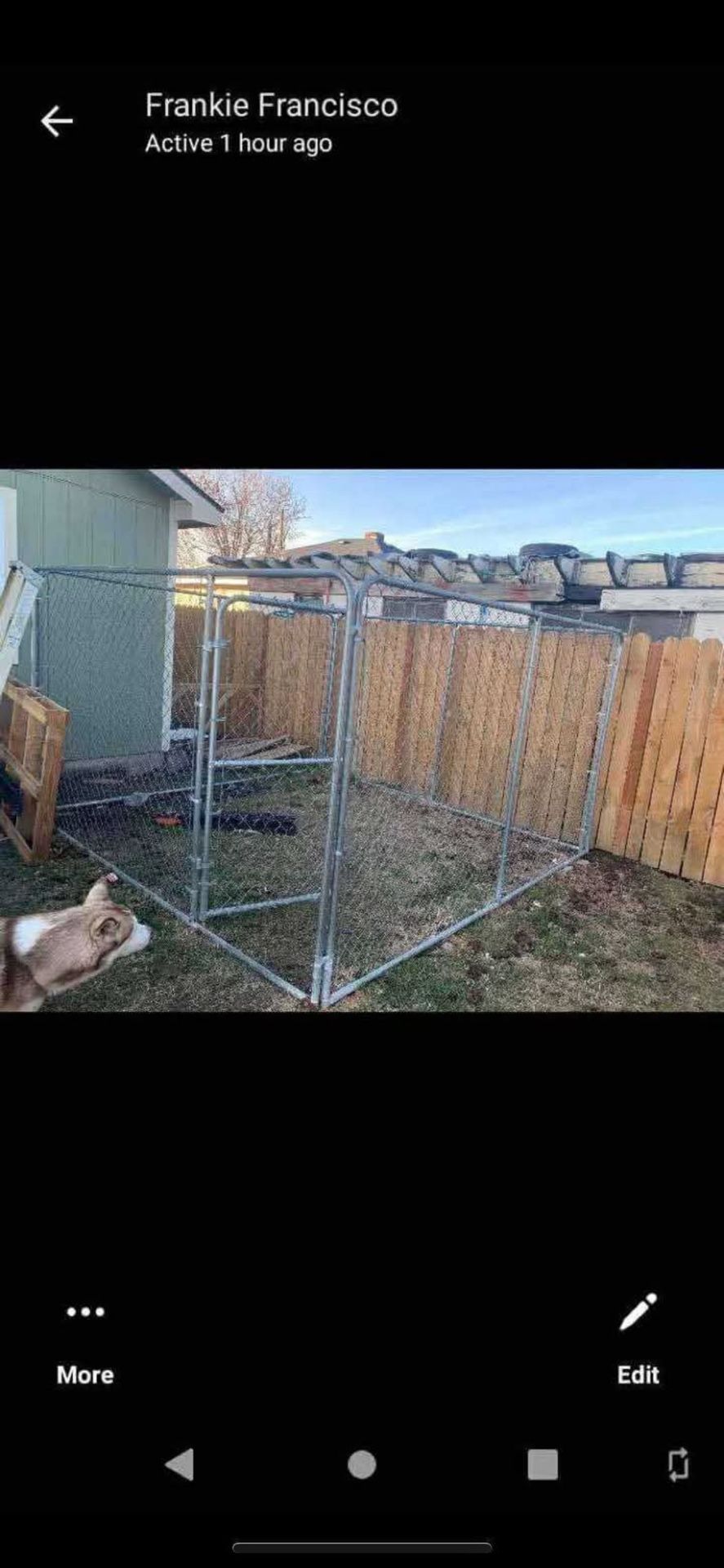 Dog Kennel 