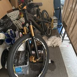 24” Dirt Jump Bike 