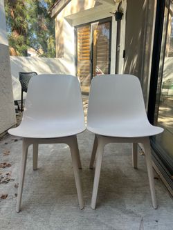 Dining Chairs