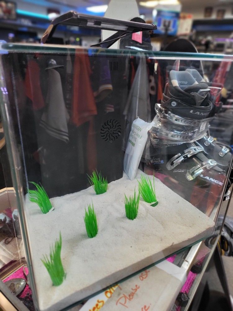 10 gallon edgeless Glofish tank w filter