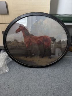 Horse Picture