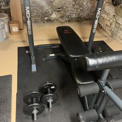 Weight Bench + Squat Rack – Solid Home Gym Setup – $200 OB