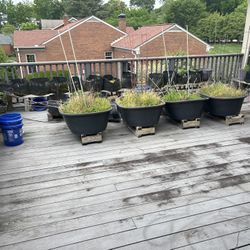 Soil Up For Grabs
