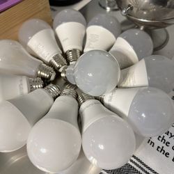 Working Light Bulbs