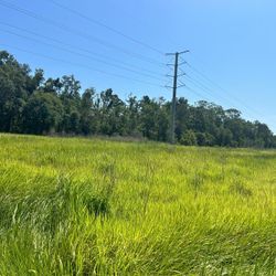 12.7 Acres Land Lot For Sale In Perry, FL 