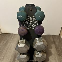 Dumbbells With Rack 