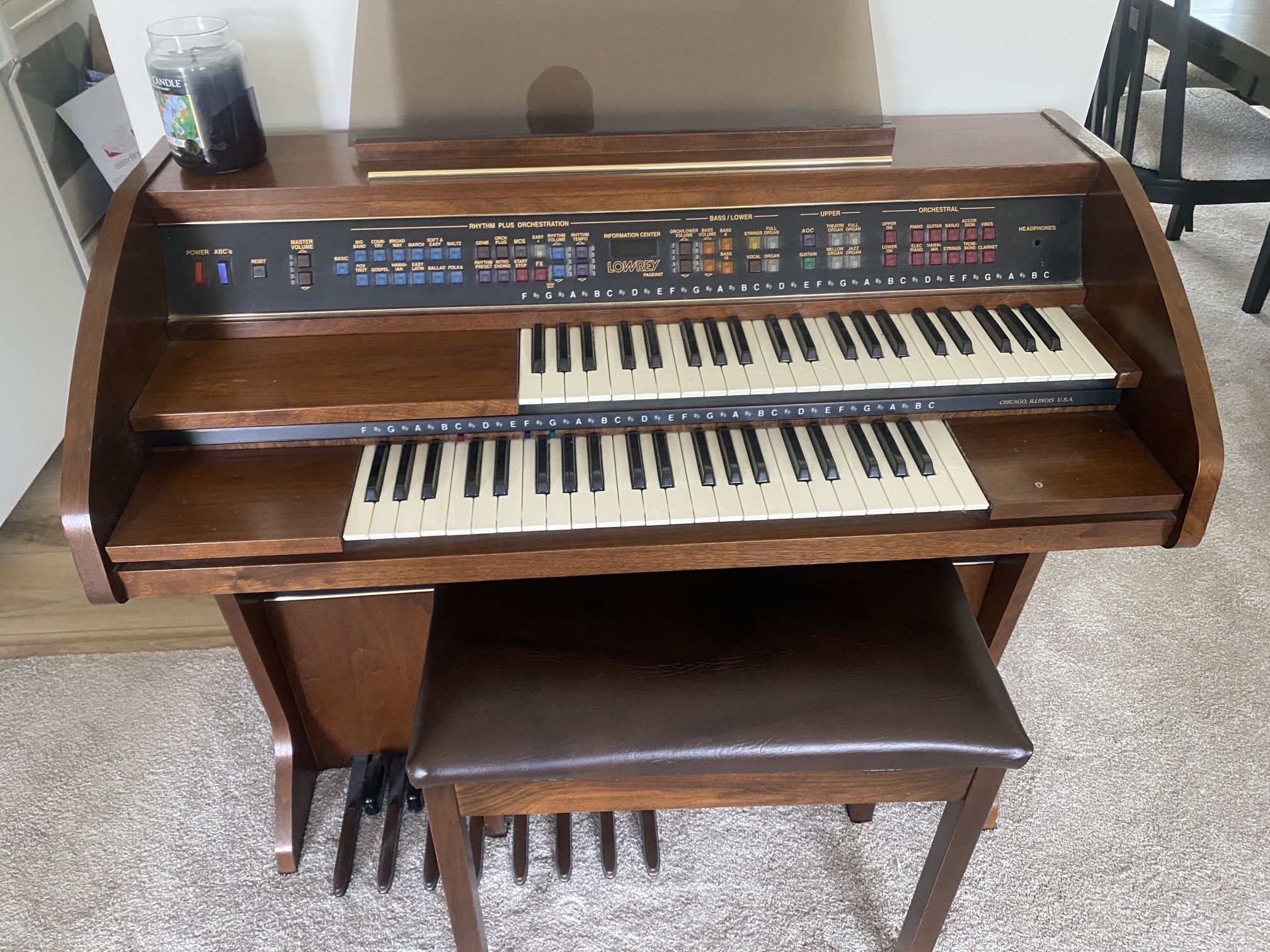 Organ In Good Condition