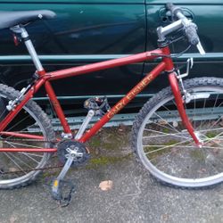 Gary Fisher Youth Bike