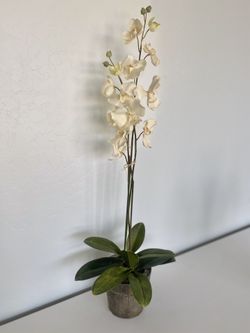 Cream Faux Orchid plant