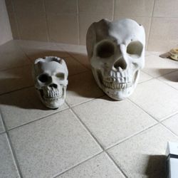 Summerween Decorations 