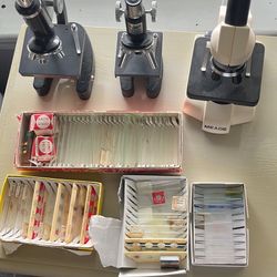 Microscopes And Slides