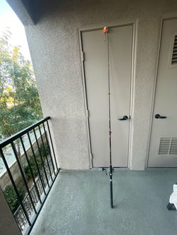 Fishing rod with reel