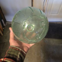 Like New Hamster Ball