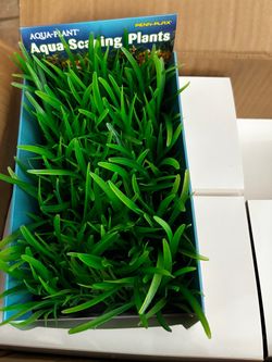 STOCK- 40 Count Penn-Plax Aqua-Plant Medium Hairgrass Bunch Aqua-Scraping