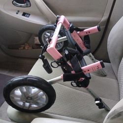 Walking Wheels 4 Handicapped Pets