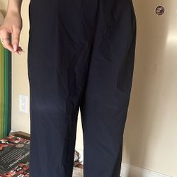 Zara dark Blue Chinos