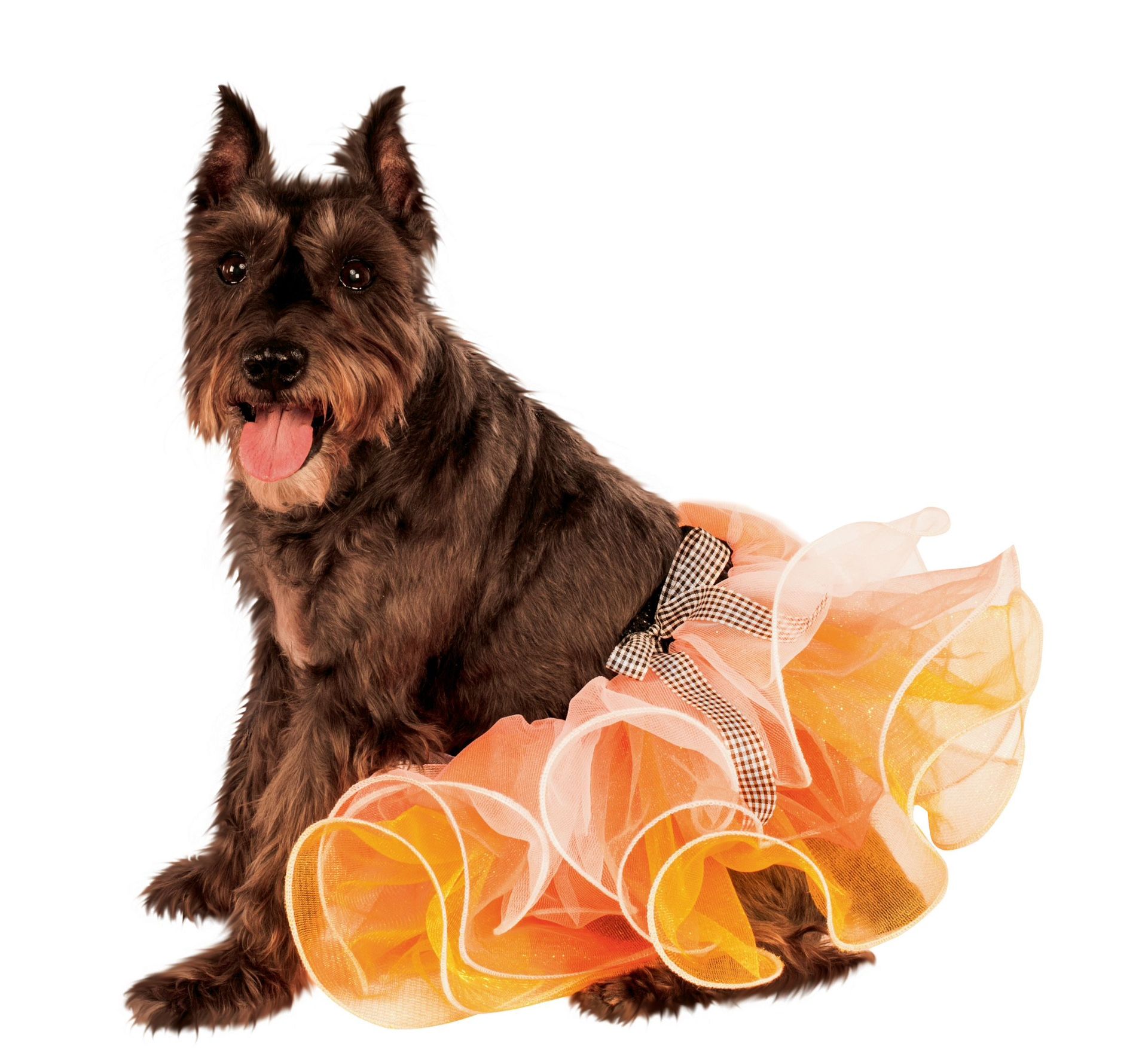 RUBIE'S PET SHOP BOUTIQUE HALLOWEEN DOG TUTU S/M & M/L