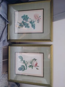 Framed rose paintings