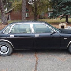 Jaguar $800 OBO