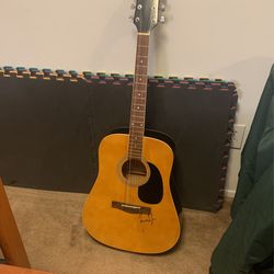 Guitar Rogue Model RD80