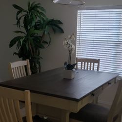 Dining Room Table With Chairs (Used)