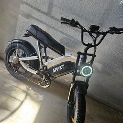 e bike