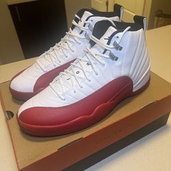 Cherry Jordan 12s Brand New size 12.5