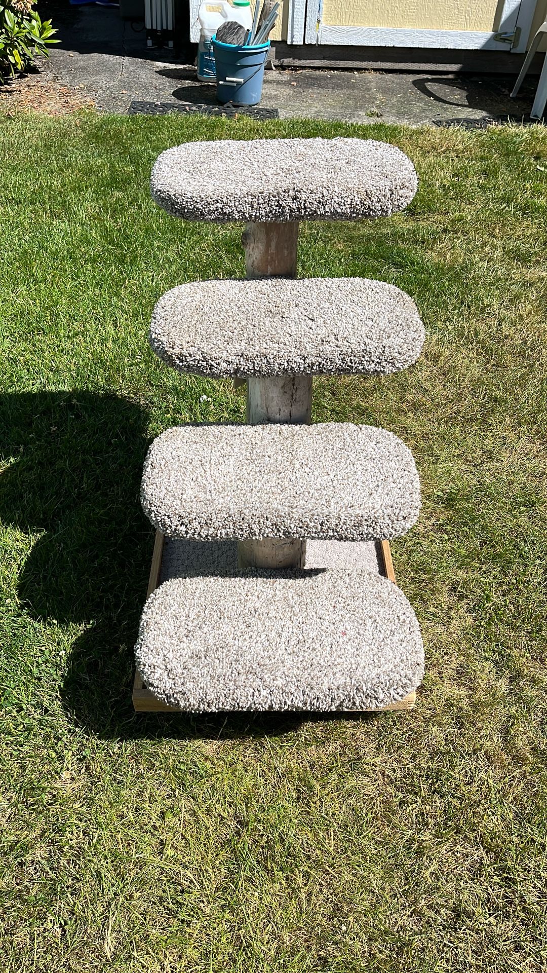 Cat Stairs