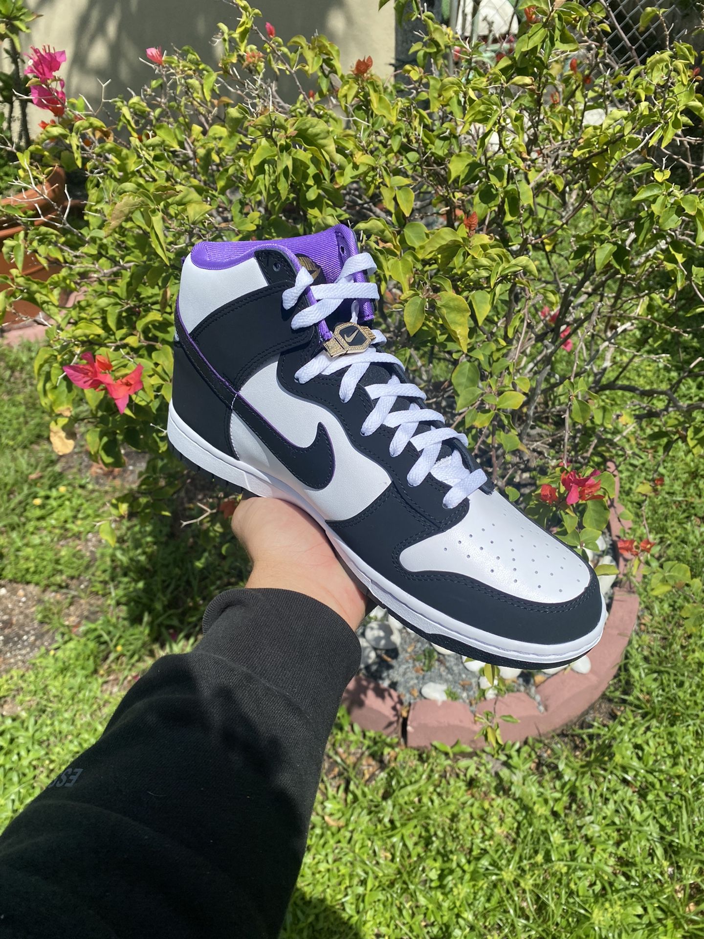 Nike Dunk High Championship size 10.5M - www.qualitysolucao  display picture 1