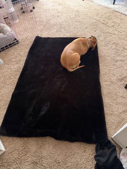 Black Faux Fur Area Rug