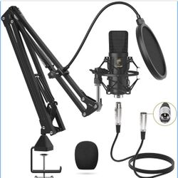 XLR Condenser Microphone, Professional Cardioid Studio Mic Kit with T20 Boom Arm, Shock Mount, Pop Filter for Recording, Podcasting, Voice Over, Strea