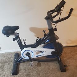 Labgrey Exercise Bike