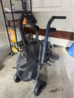 Rogue Echo Bike
