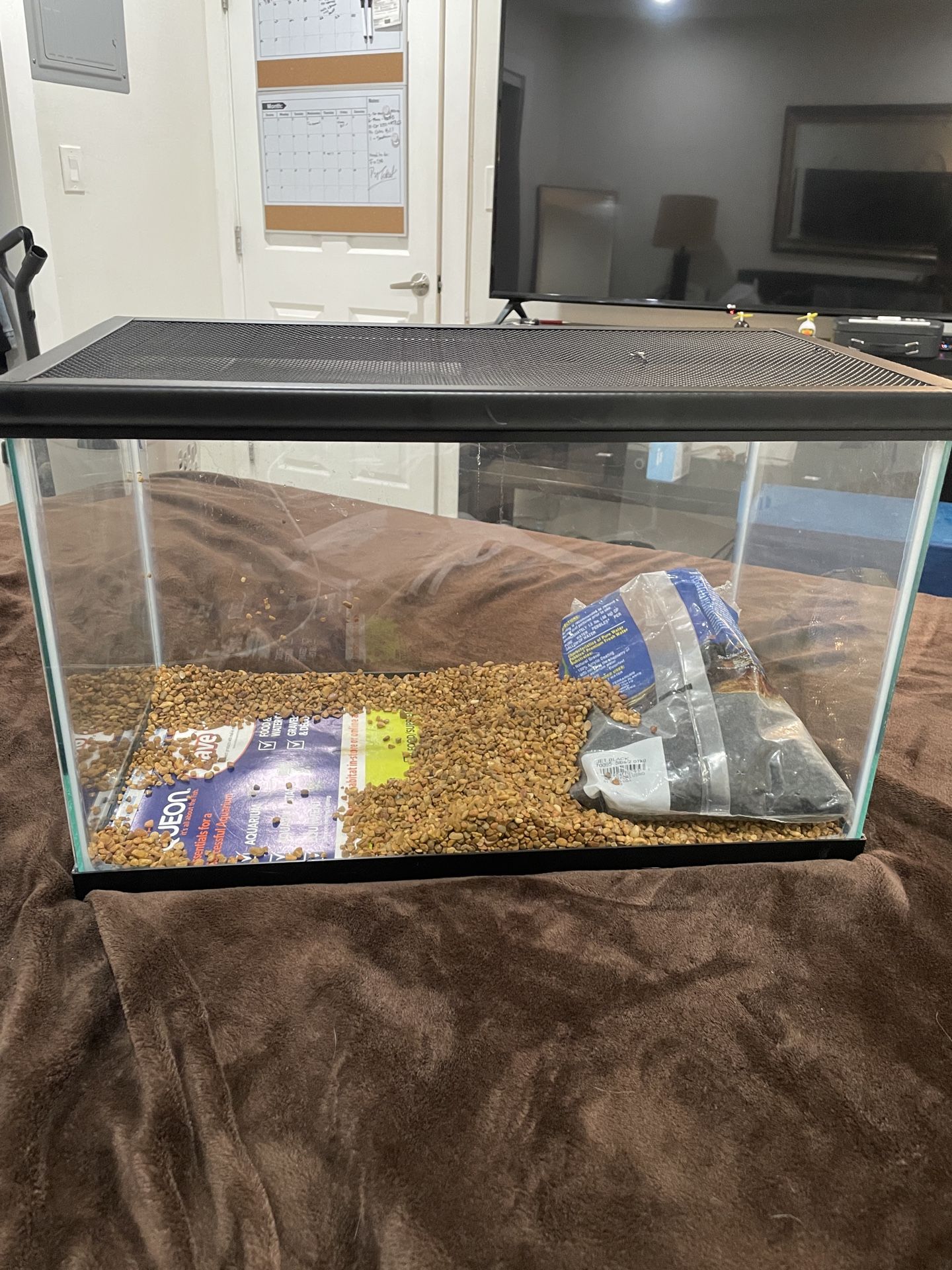 10 Gallon Fish Tank