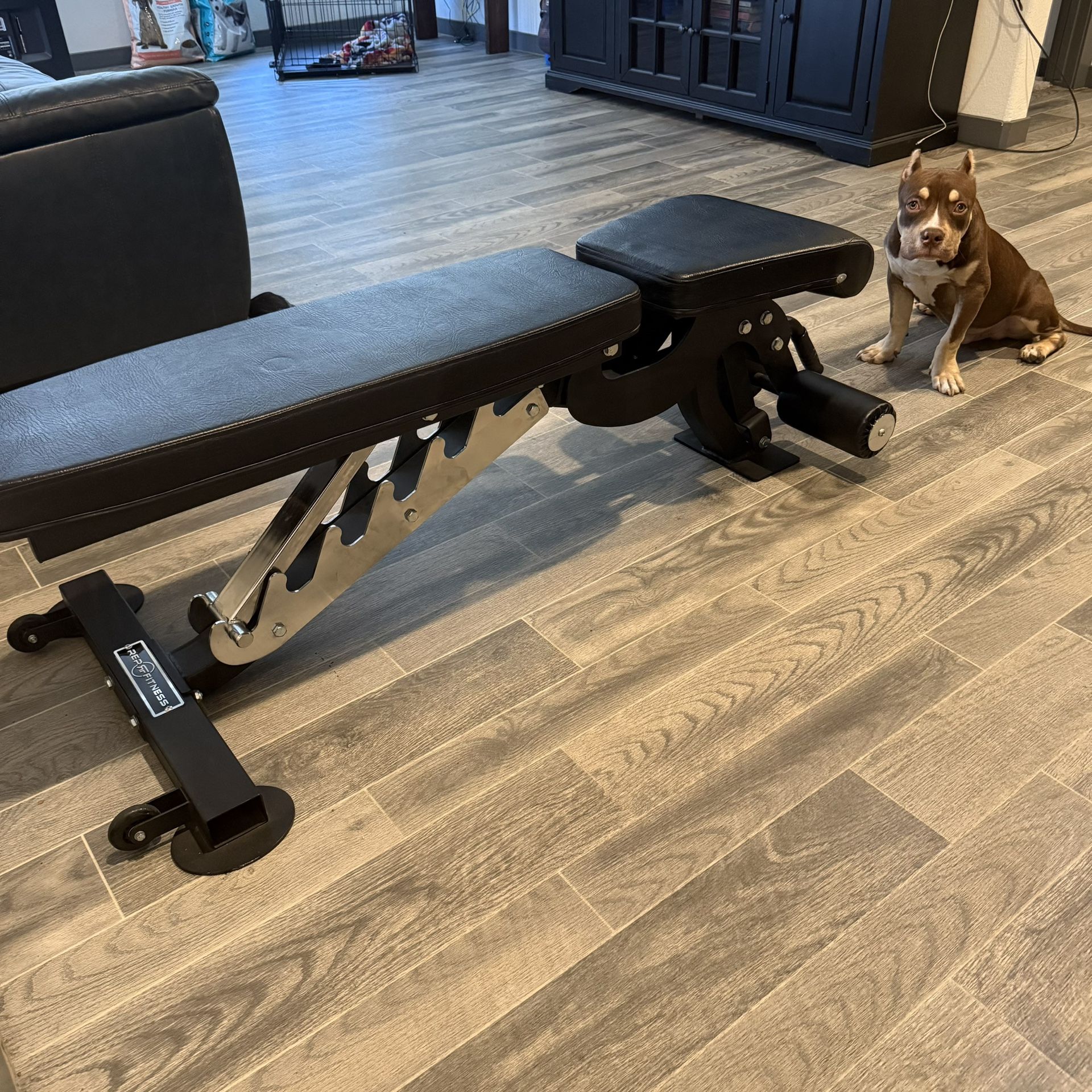 REP FITNESS BENCH!! Ab-3000