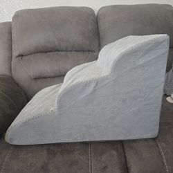 Dog Stairs