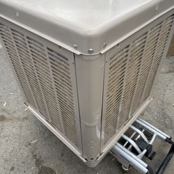 Swamp Cooler Champion 