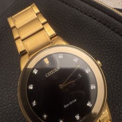 Citizen Echo  Drive 