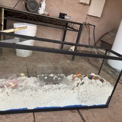55 Gallon Glass Aquarium / Terrarium (48 inches)