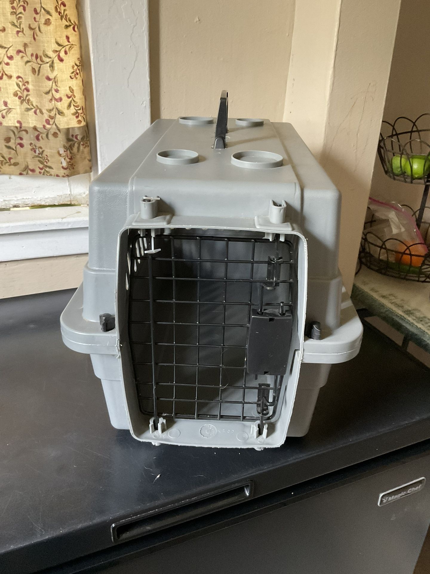 Gaula Para Perrito En Buenas Condiciones
