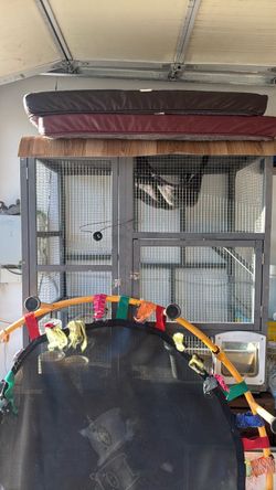 Cat house/condo cage