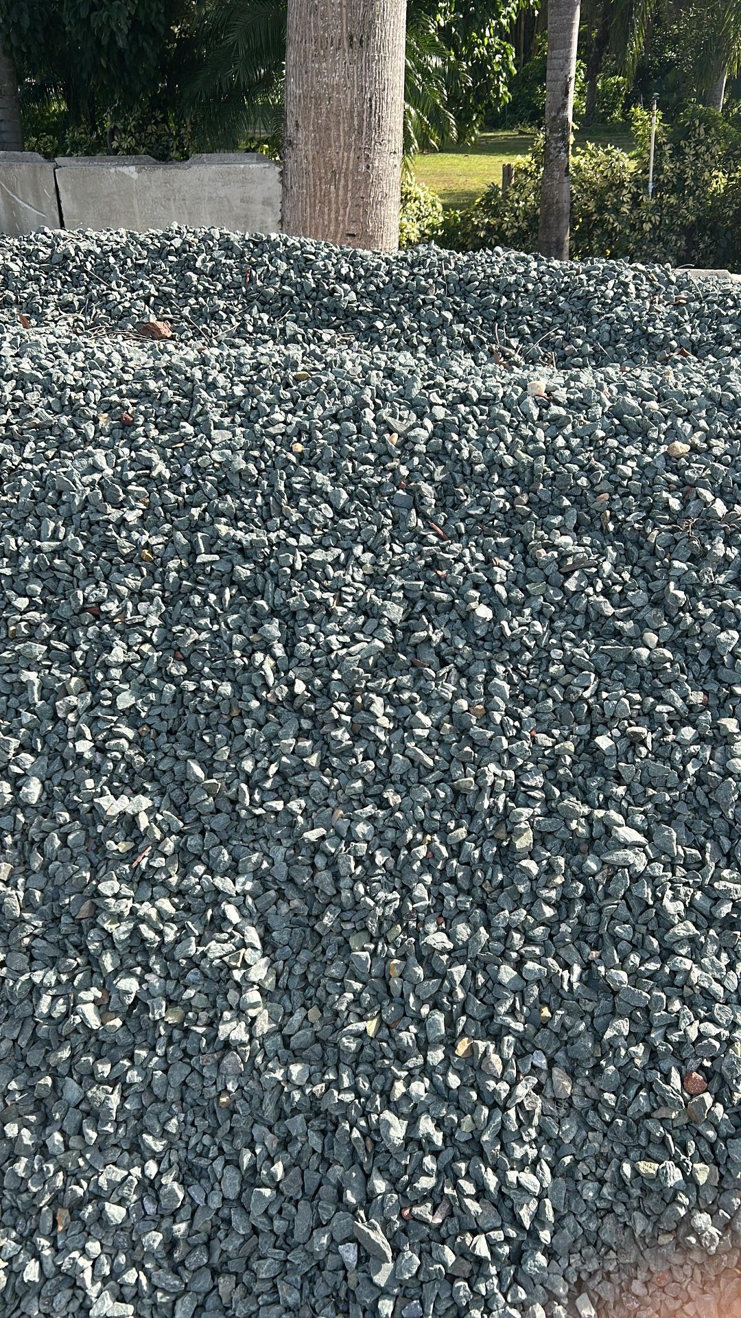 Green Palmetto Rock - Yard